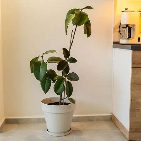 2br In Oeluedeniz With Large Pool In Quiet Area Апартаменты Фетхие